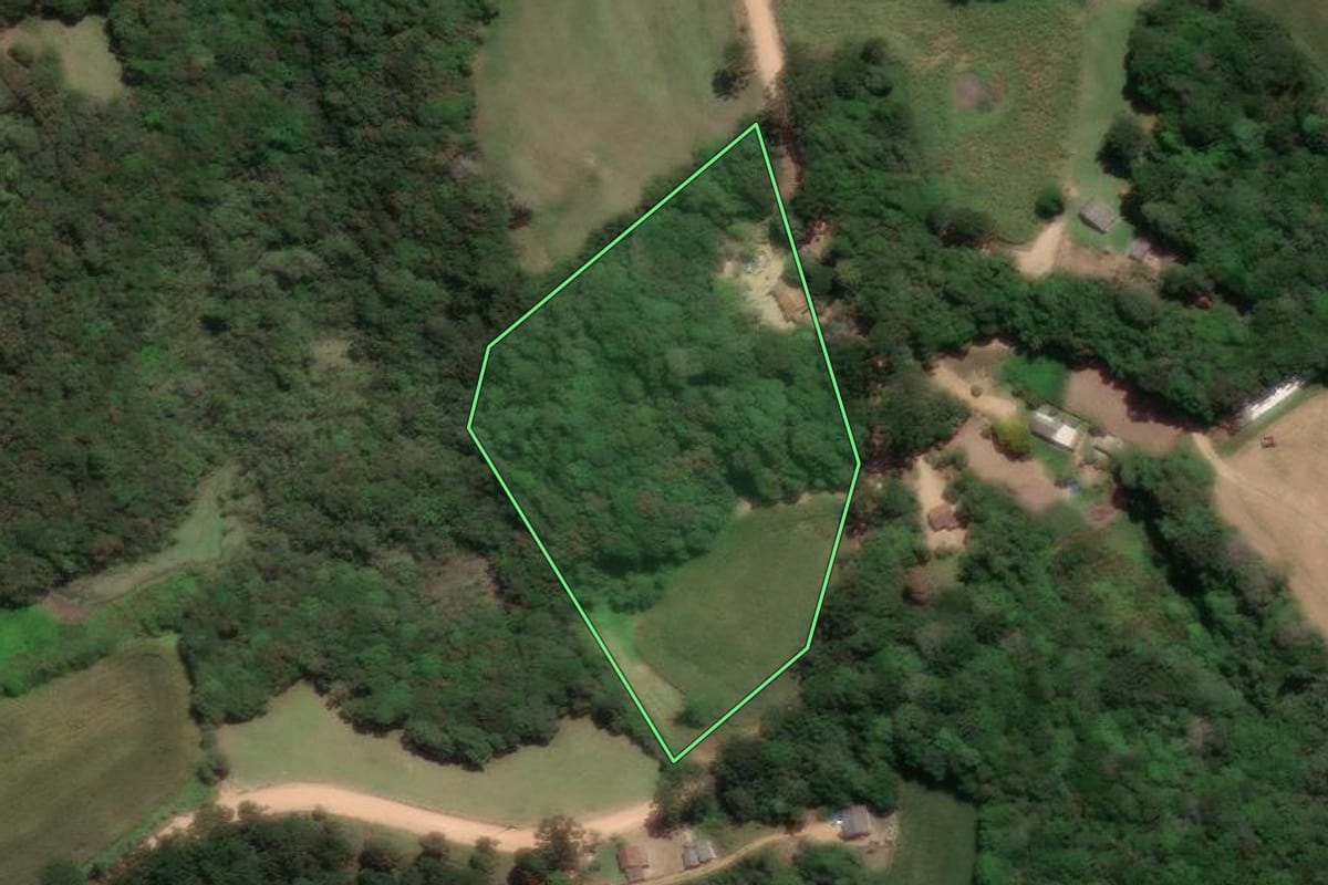 Imagem de satélite do imóvel rural em Castro (PR), com o contorno declarado no CAR desenhado por cima.