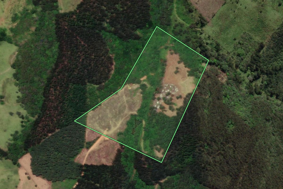 Imagem de satélite do imóvel rural em Castro (PR), com o contorno declarado no CAR desenhado por cima.