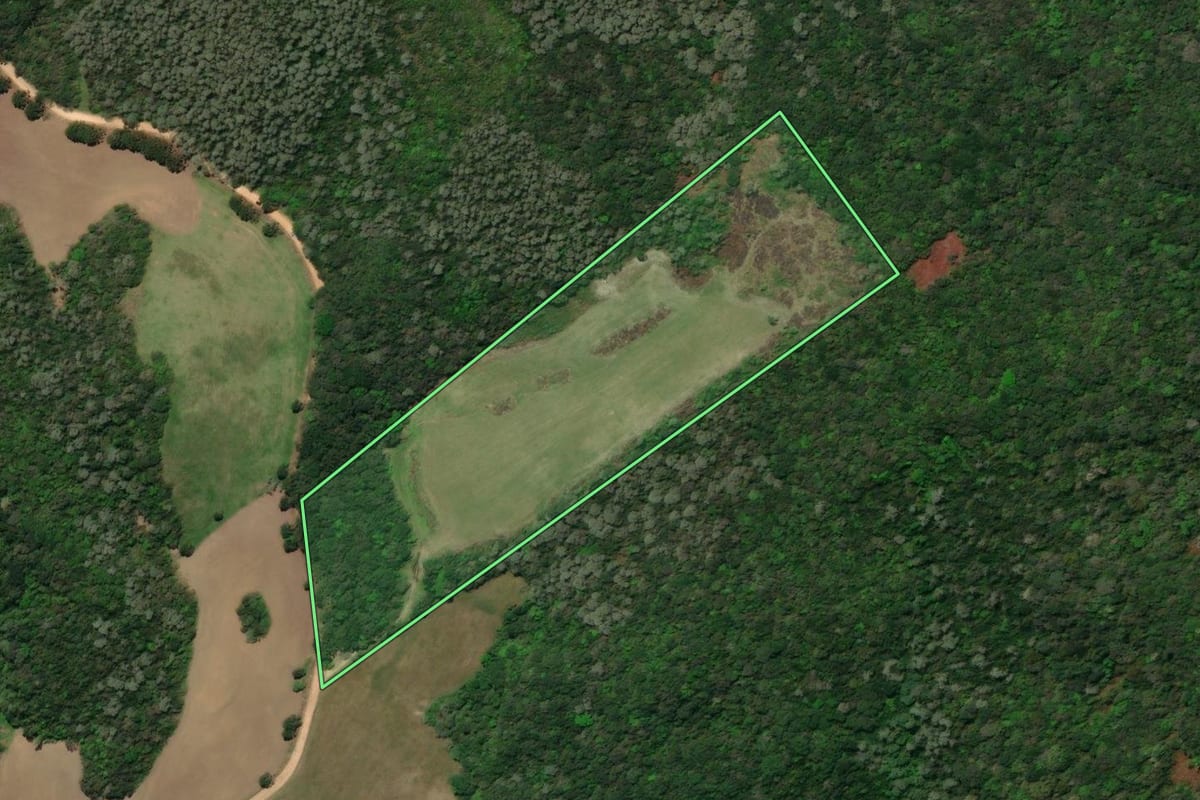 Imagem de satélite do imóvel rural em Castro (PR), com o contorno declarado no CAR desenhado por cima.