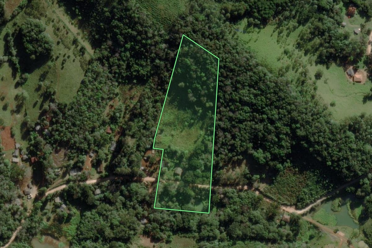 Imagem de satélite do imóvel rural em Castro (PR), com o contorno declarado no CAR desenhado por cima.