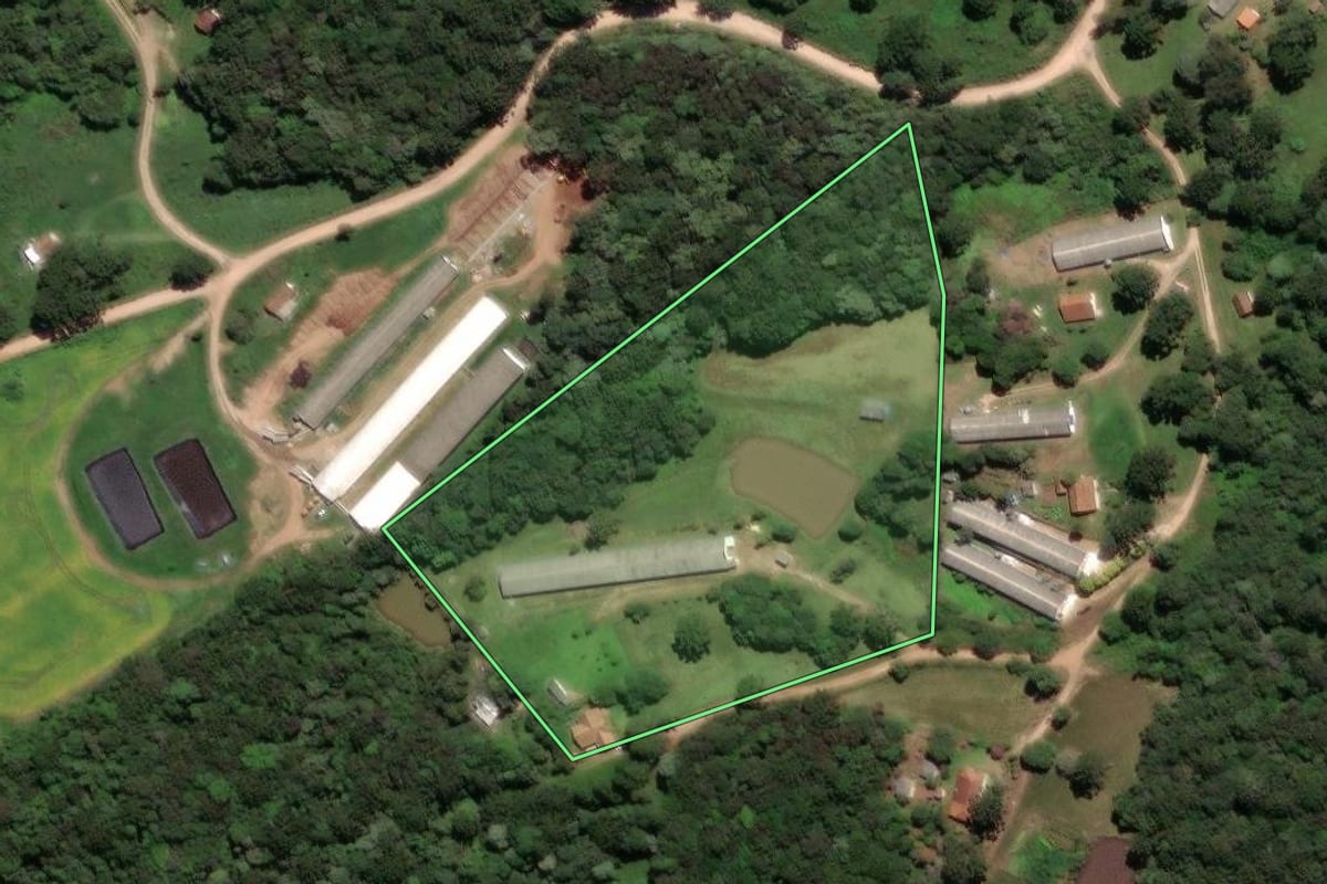 Imagem de satélite do imóvel rural em Castro (PR), com o contorno declarado no CAR desenhado por cima.