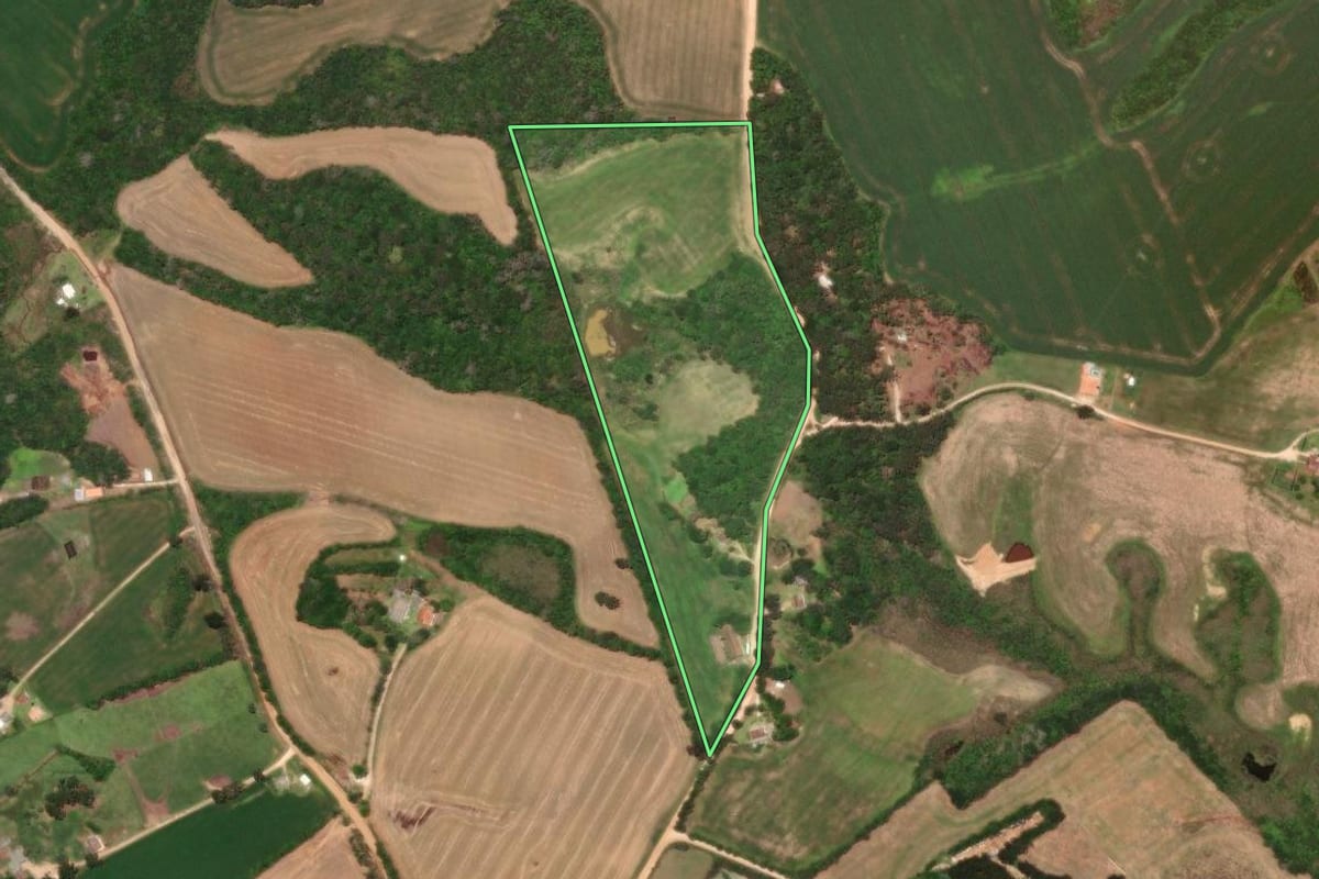Imagem de satélite do imóvel rural em Castro (PR), com o contorno declarado no CAR desenhado por cima.