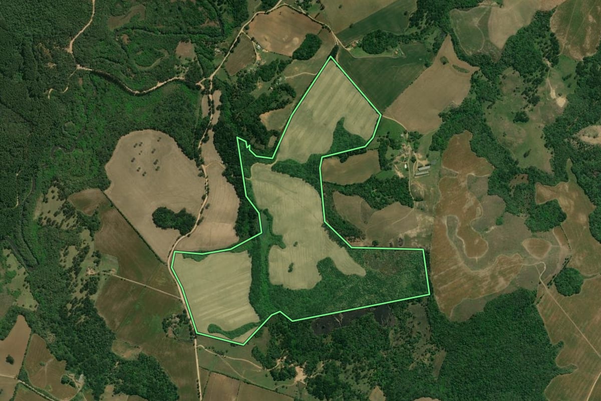 Imagem de satélite do imóvel rural em Castro (PR), com o contorno declarado no CAR desenhado por cima.