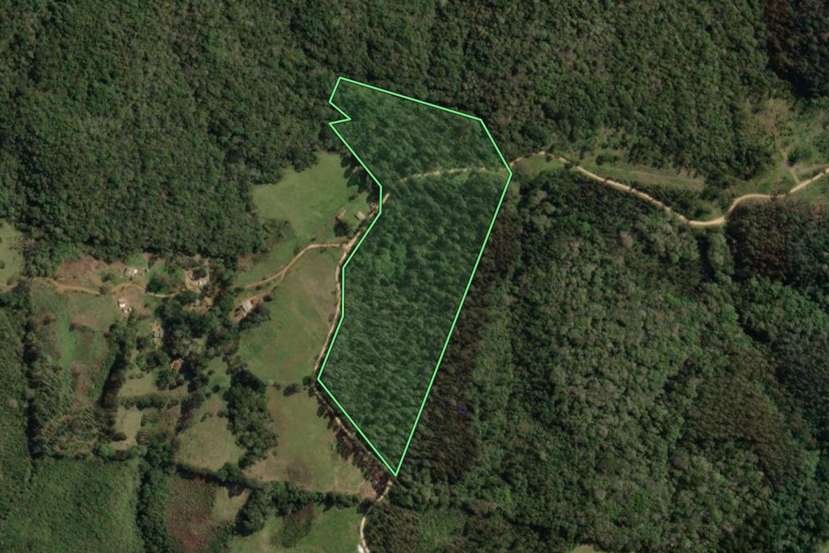 Imagem de satélite do imóvel rural em Castro (PR), com o contorno declarado no CAR desenhado por cima.