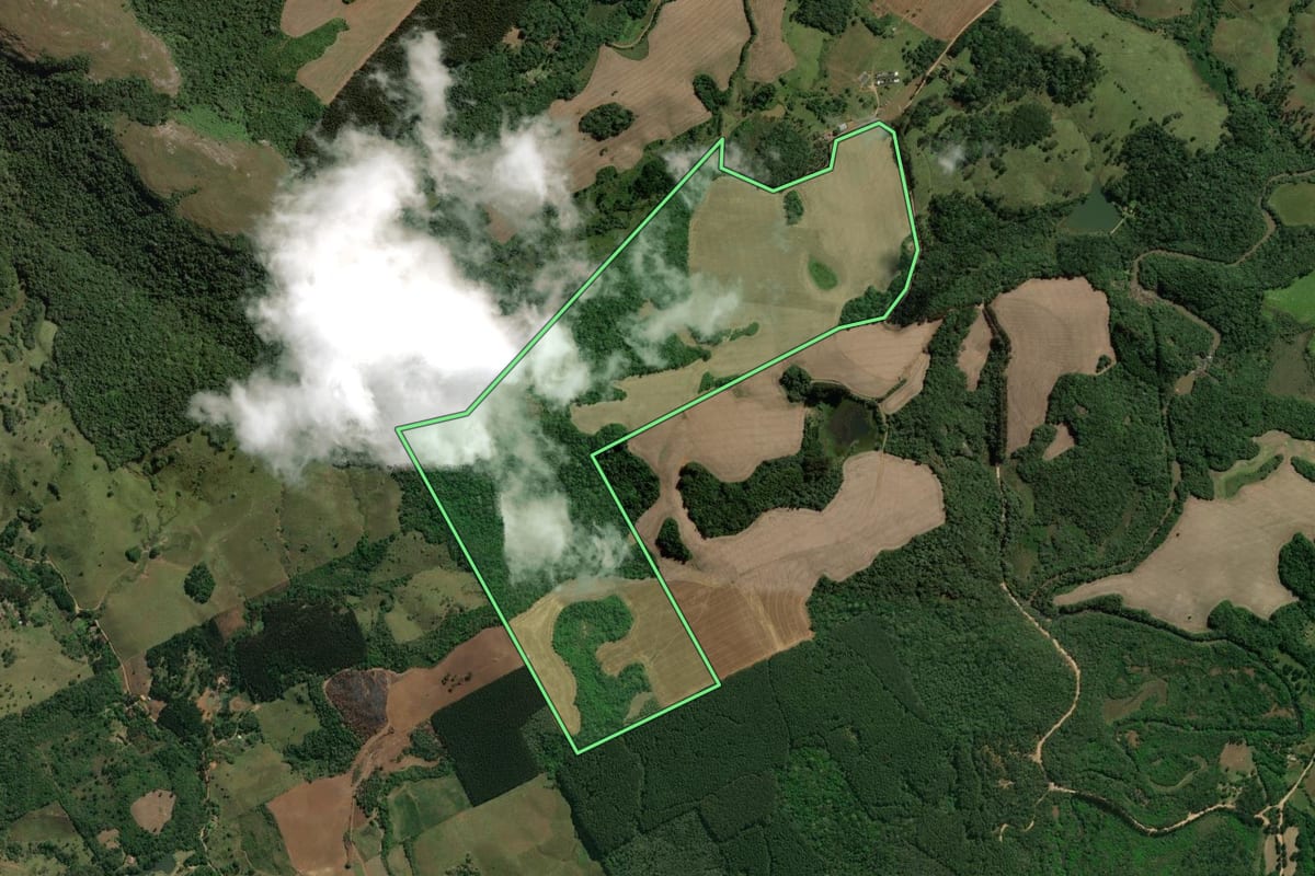 Imagem de satélite do imóvel rural em Castro (PR), com o contorno declarado no CAR desenhado por cima.