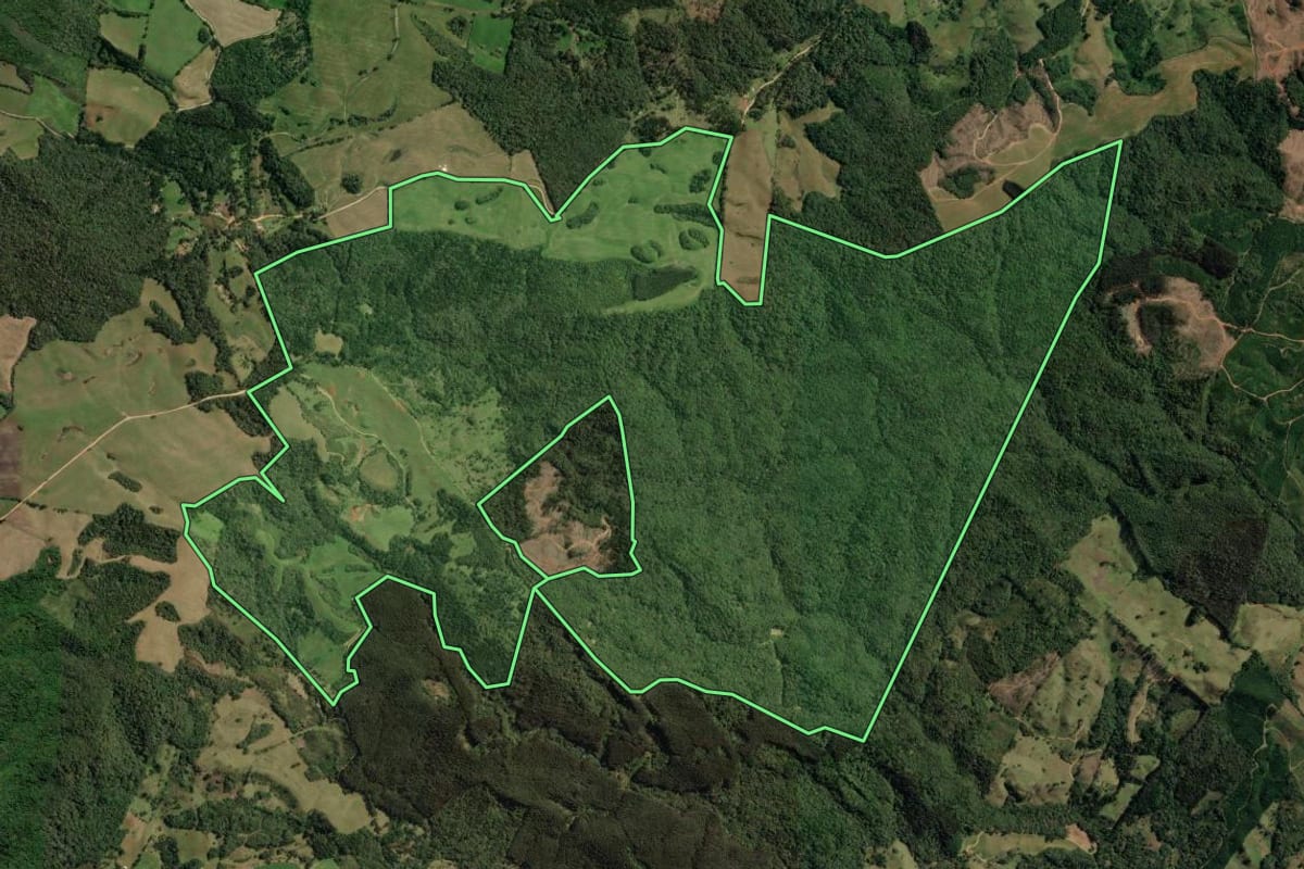 Imagem de satélite do imóvel rural em Castro (PR), com o contorno declarado no CAR desenhado por cima.