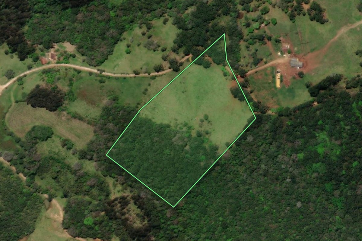 Imagem de satélite do imóvel rural em Castro (PR), com o contorno declarado no CAR desenhado por cima.