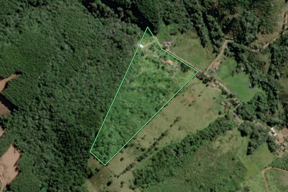 Imagem de satélite do imóvel rural em Castro (PR), com o contorno declarado no CAR desenhado por cima.