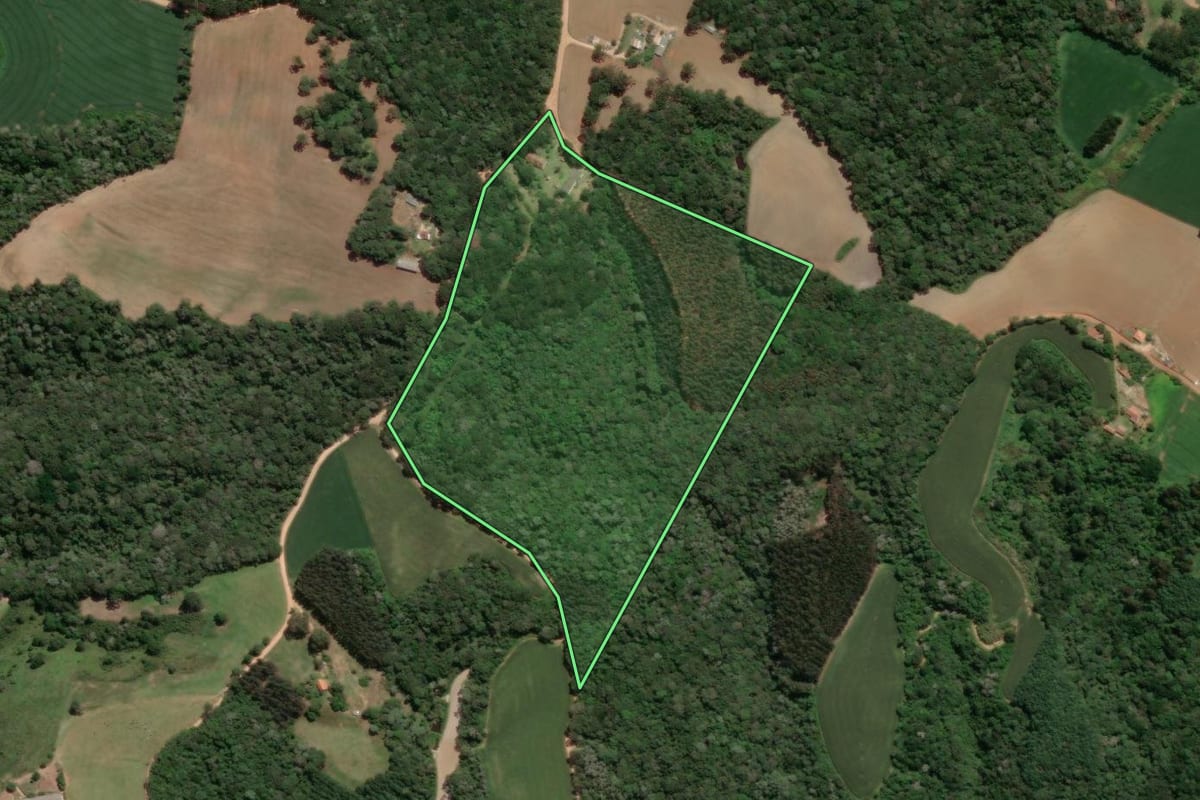 Imagem de satélite do imóvel rural em Castro (PR), com o contorno declarado no CAR desenhado por cima.