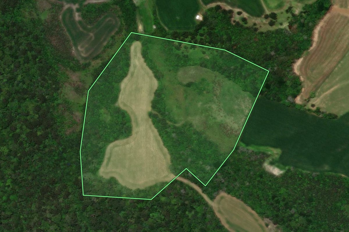 Imagem de satélite do imóvel rural em Castro (PR), com o contorno declarado no CAR desenhado por cima.