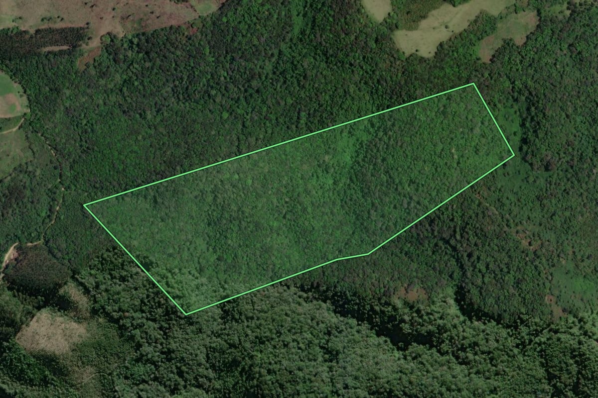 Imagem de satélite do imóvel rural em Castro (PR), com o contorno declarado no CAR desenhado por cima.