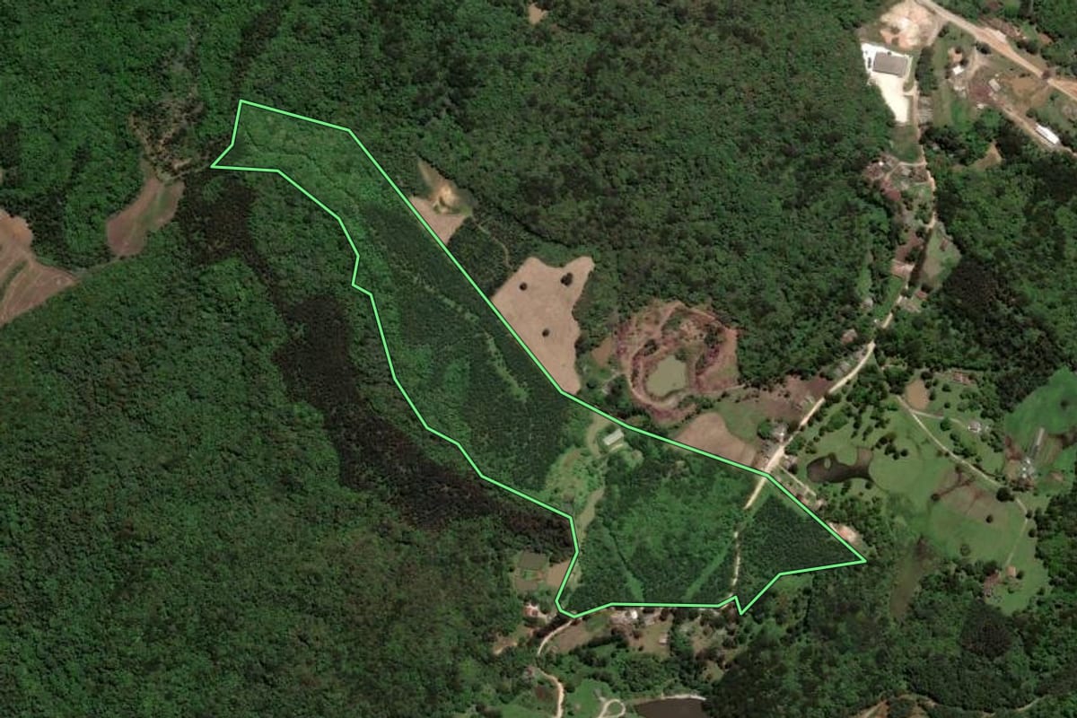 Imagem de satélite do imóvel rural em Castro (PR), com o contorno declarado no CAR desenhado por cima.