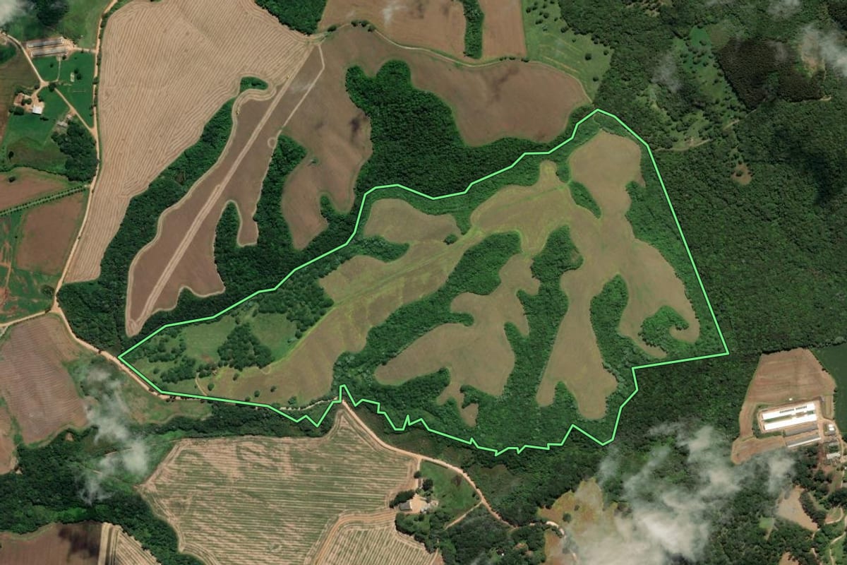 Imagem de satélite do imóvel rural em Castro (PR), com o contorno declarado no CAR desenhado por cima.