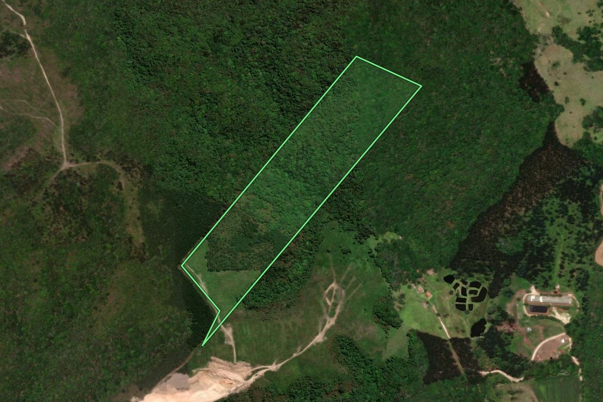 Imagem de satélite do imóvel rural em Castro (PR), com o contorno declarado no CAR desenhado por cima.