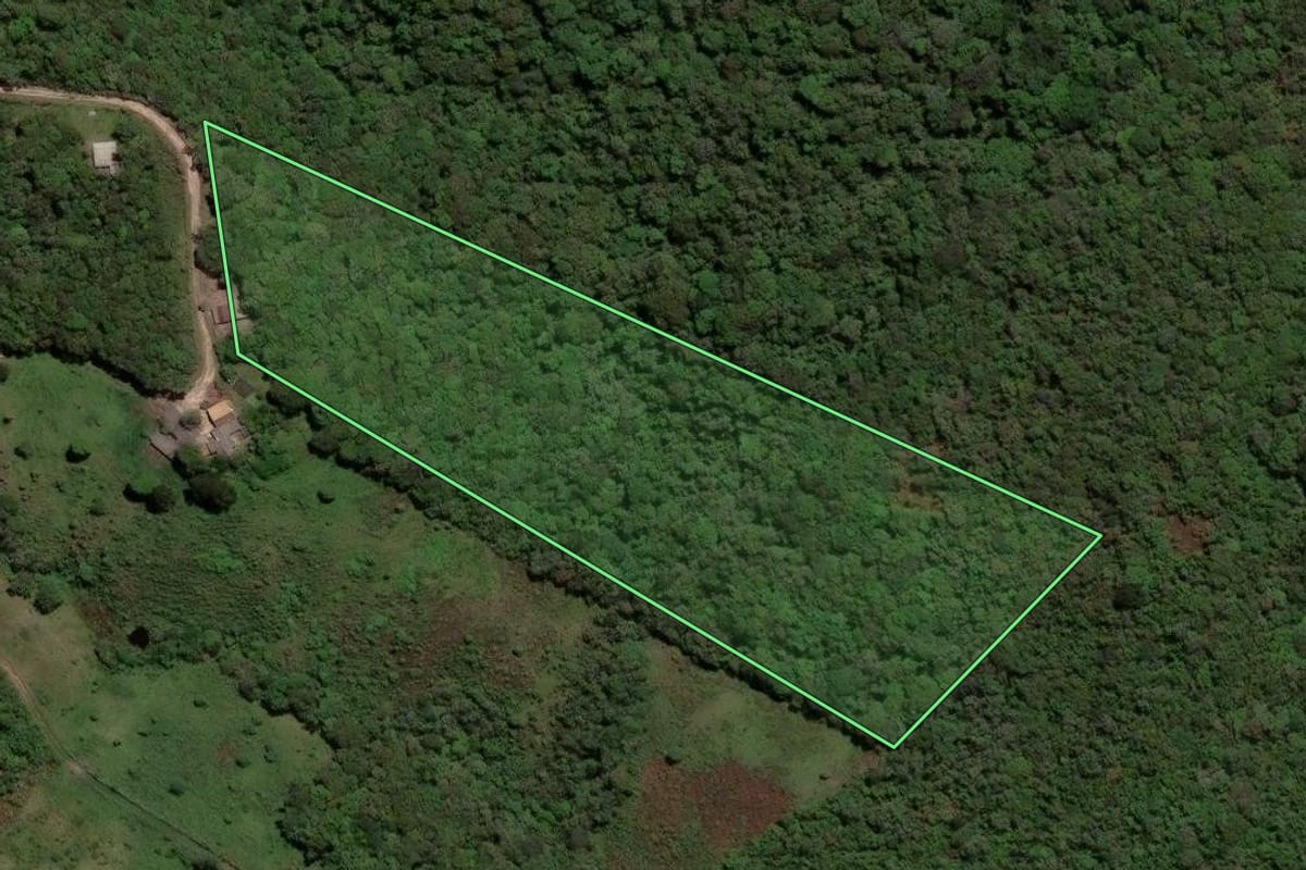 Imagem de satélite do imóvel rural em Castro (PR), com o contorno declarado no CAR desenhado por cima.