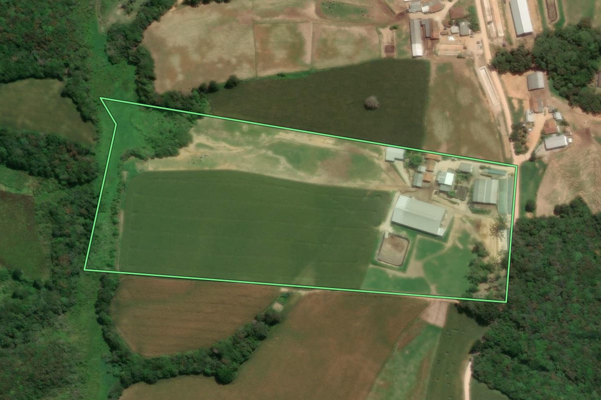 Imagem de satélite do imóvel rural em Castro (PR), com o contorno declarado no CAR desenhado por cima.