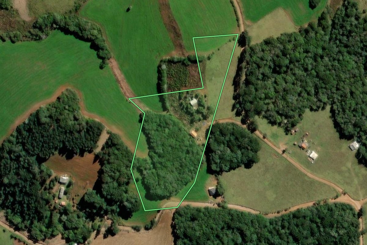 Imagem de satélite do imóvel rural em Castro (PR), com o contorno declarado no CAR desenhado por cima.