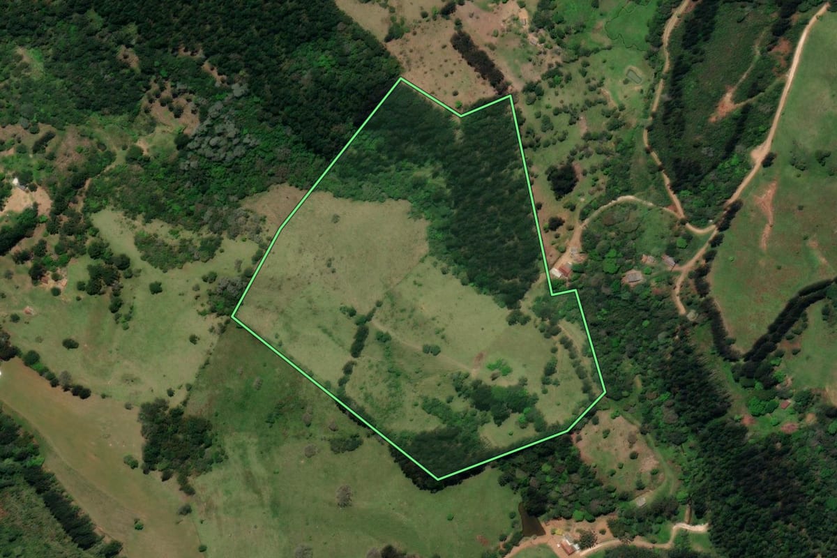 Imagem de satélite do imóvel rural em Castro (PR), com o contorno declarado no CAR desenhado por cima.