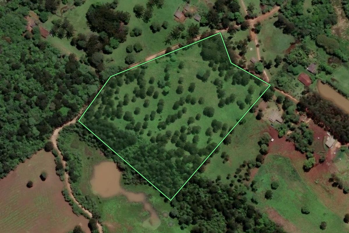 Imagem de satélite do imóvel rural em Castro (PR), com o contorno declarado no CAR desenhado por cima.