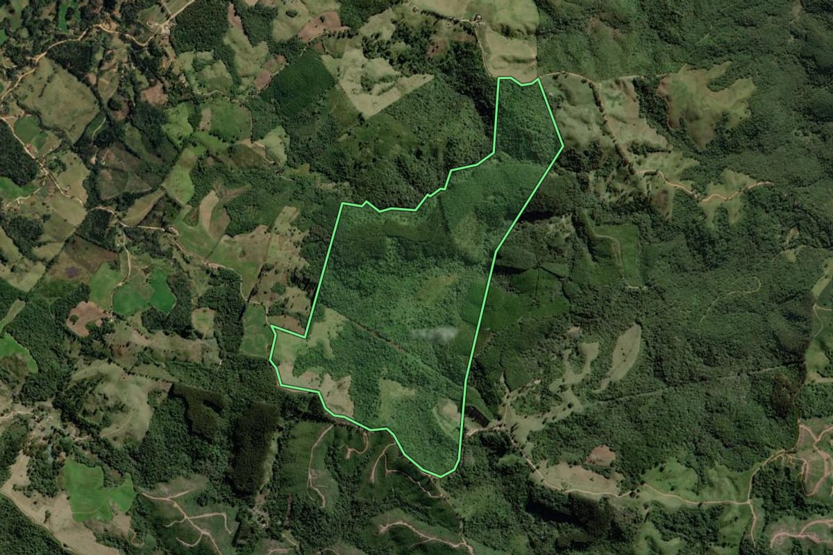 Imagem de satélite do imóvel rural em Castro (PR), com o contorno declarado no CAR desenhado por cima.