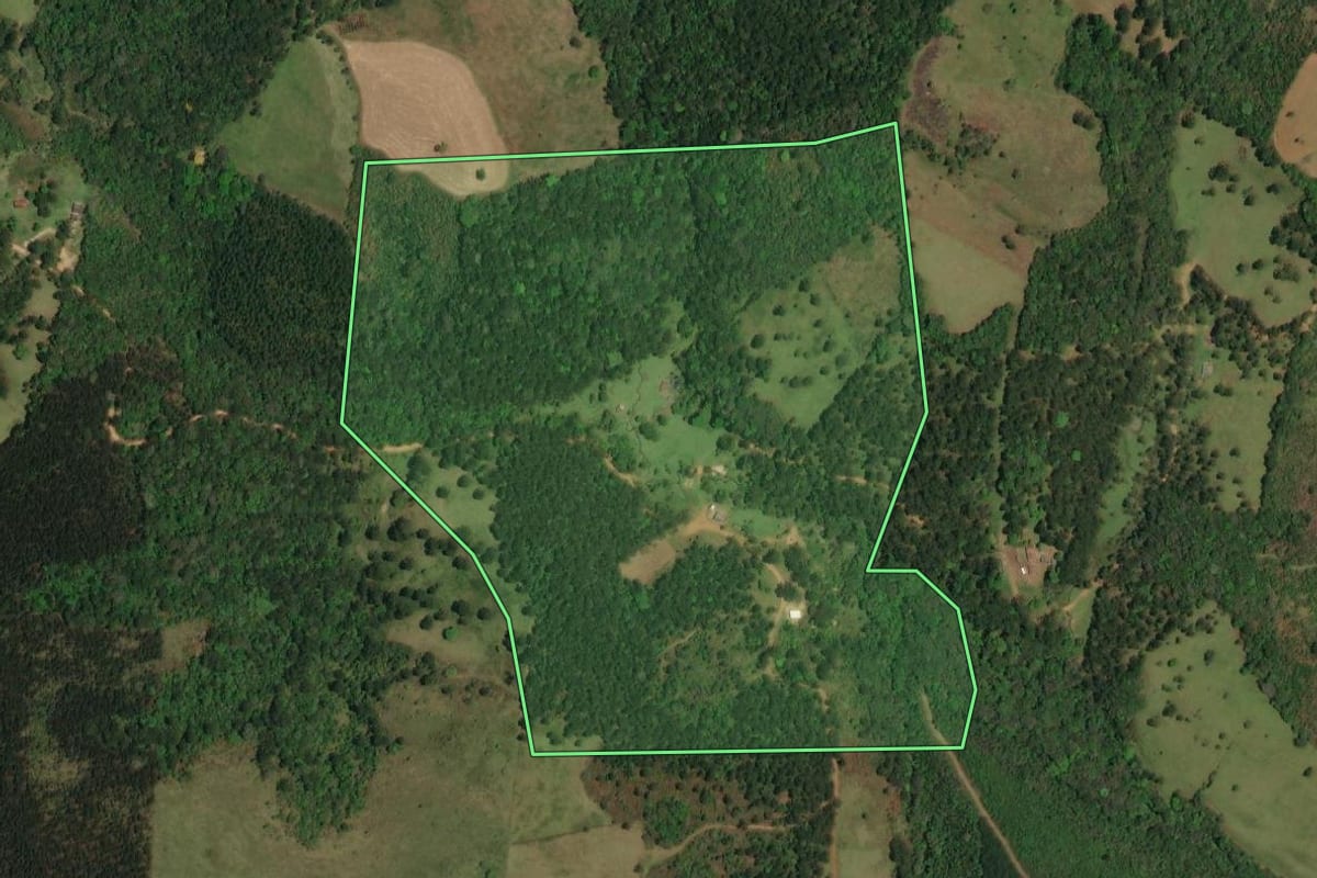 Imagem de satélite do imóvel rural em Castro (PR), com o contorno declarado no CAR desenhado por cima.