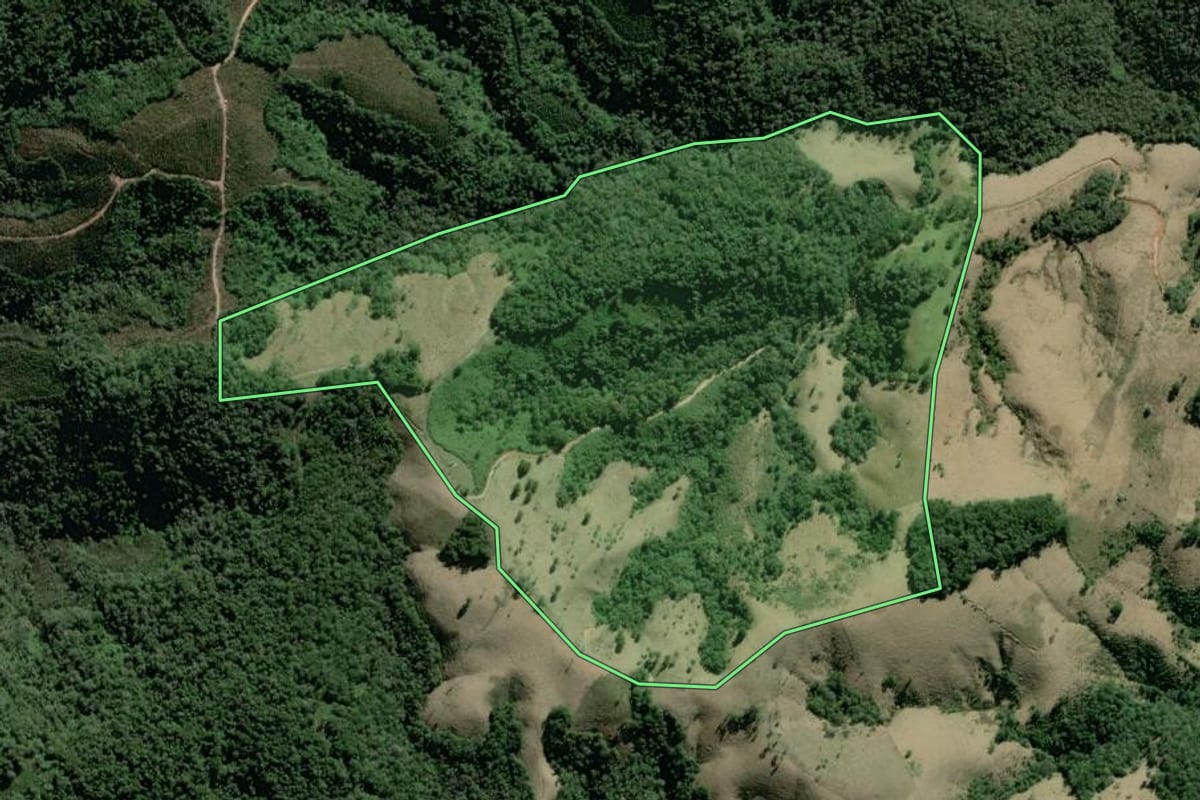 Imagem de satélite do imóvel rural em Castro (PR), com o contorno declarado no CAR desenhado por cima.
