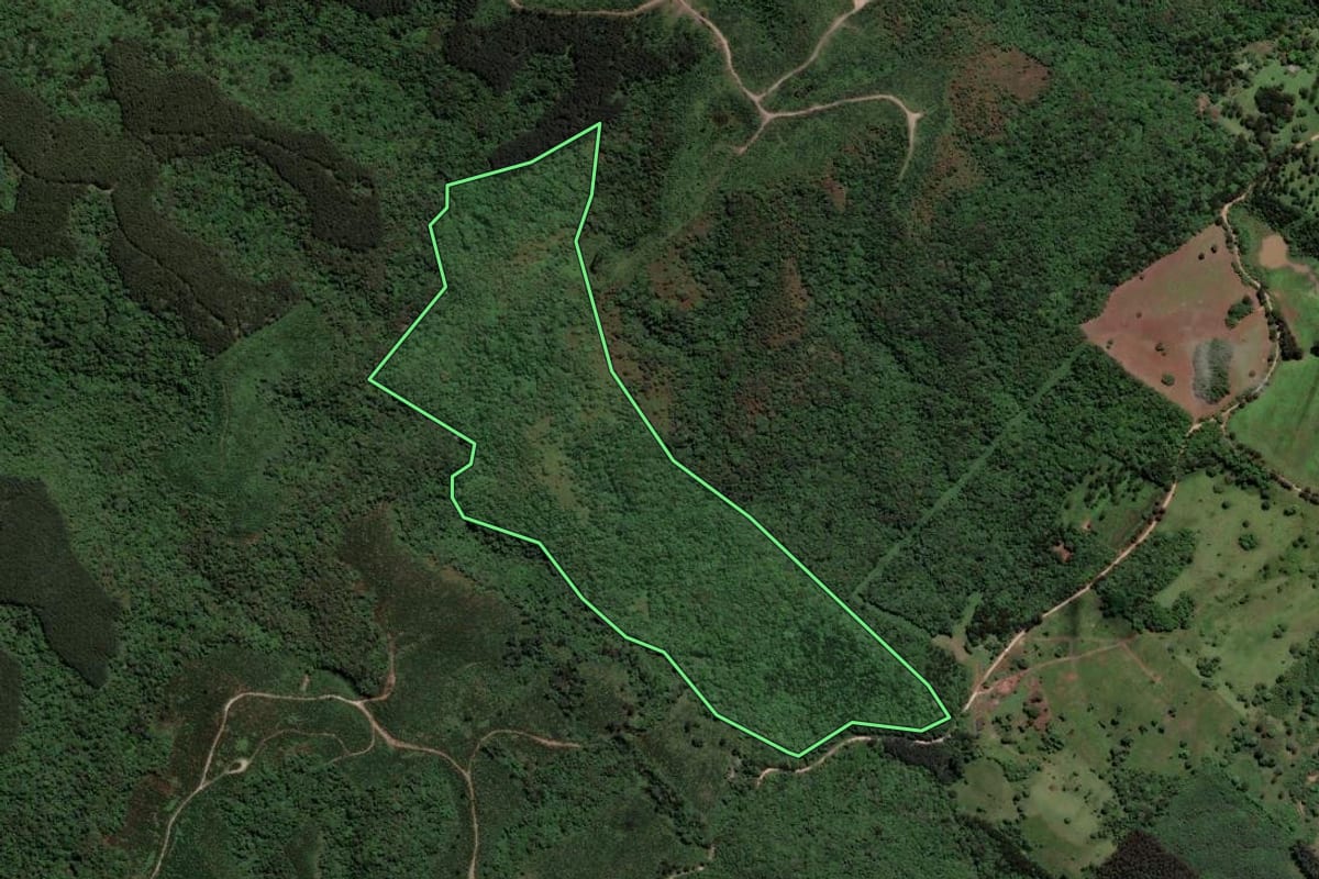 Imagem de satélite do imóvel rural em Castro (PR), com o contorno declarado no CAR desenhado por cima.