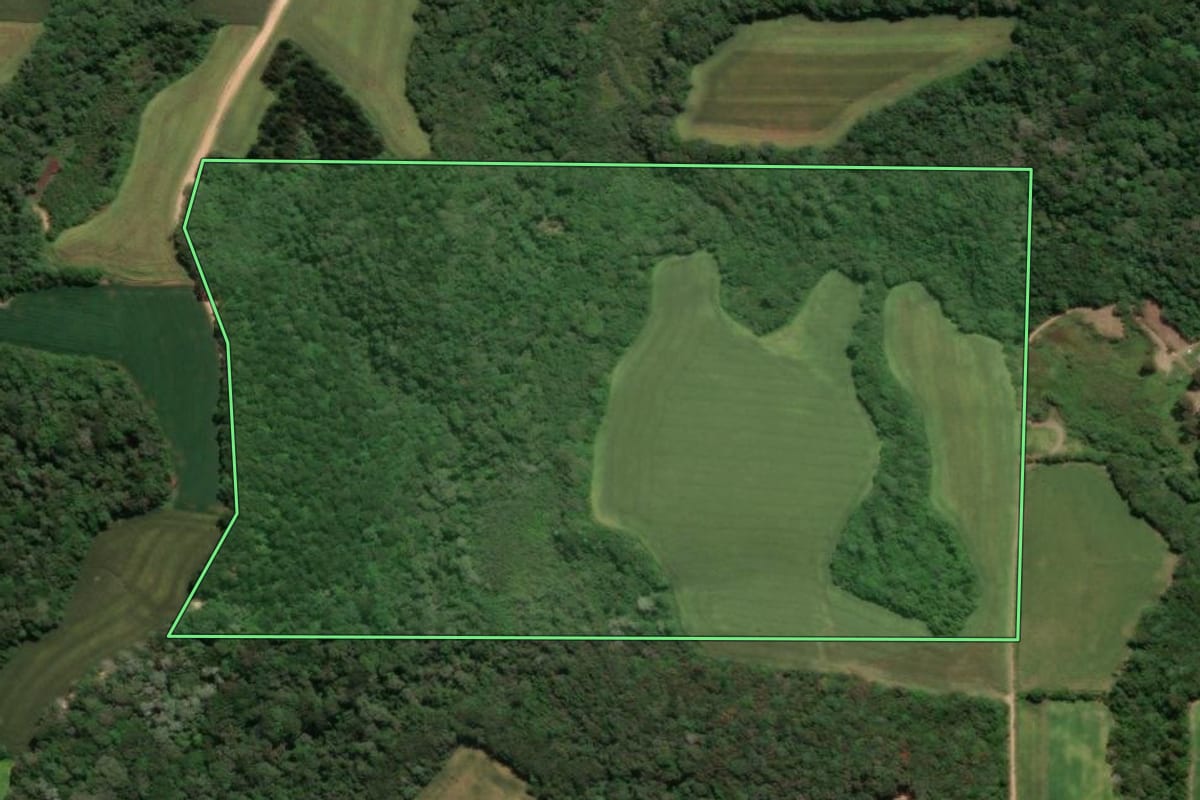 Imagem de satélite do imóvel rural em Castro (PR), com o contorno declarado no CAR desenhado por cima.