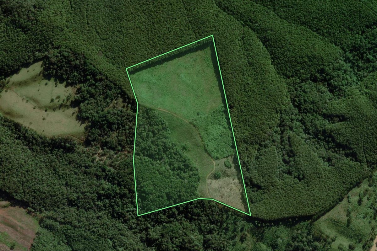 Imagem de satélite do imóvel rural em Castro (PR), com o contorno declarado no CAR desenhado por cima.