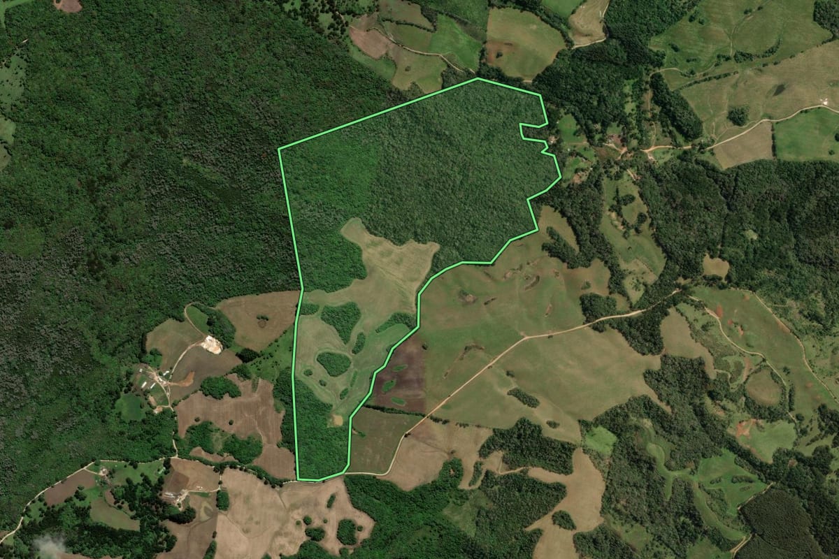 Imagem de satélite do imóvel rural em Castro (PR), com o contorno declarado no CAR desenhado por cima.