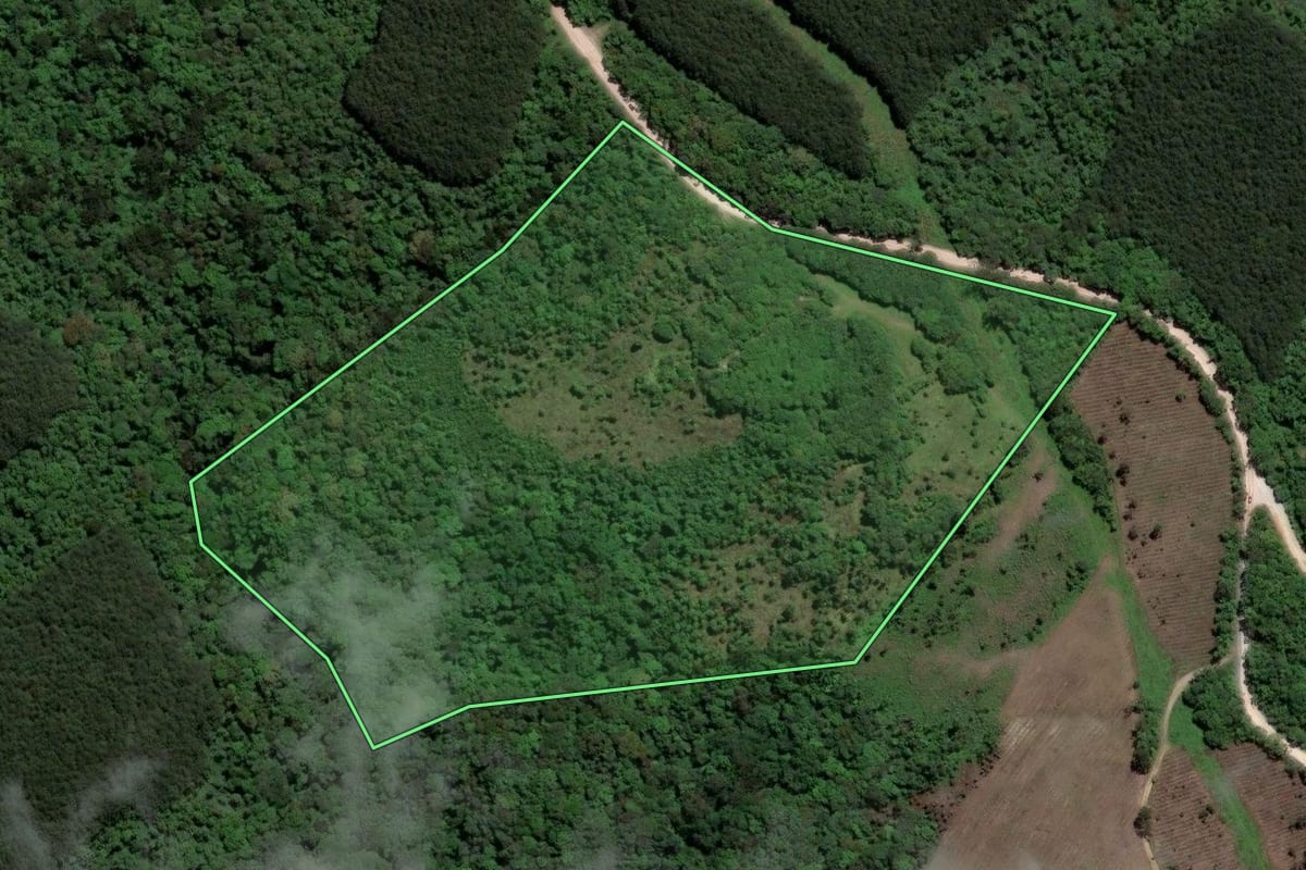 Imagem de satélite do imóvel rural em Castro (PR), com o contorno declarado no CAR desenhado por cima.