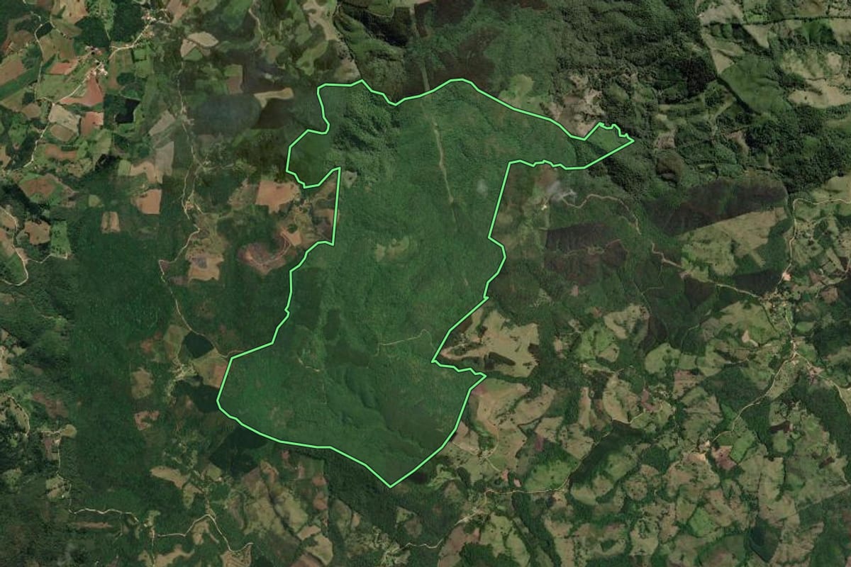 Imagem de satélite do imóvel rural em Castro (PR), com o contorno declarado no CAR desenhado por cima.