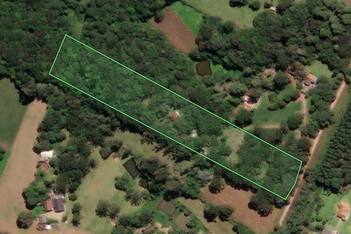 Imagem de satélite do imóvel rural em Castro (PR), com o contorno declarado no CAR desenhado por cima.