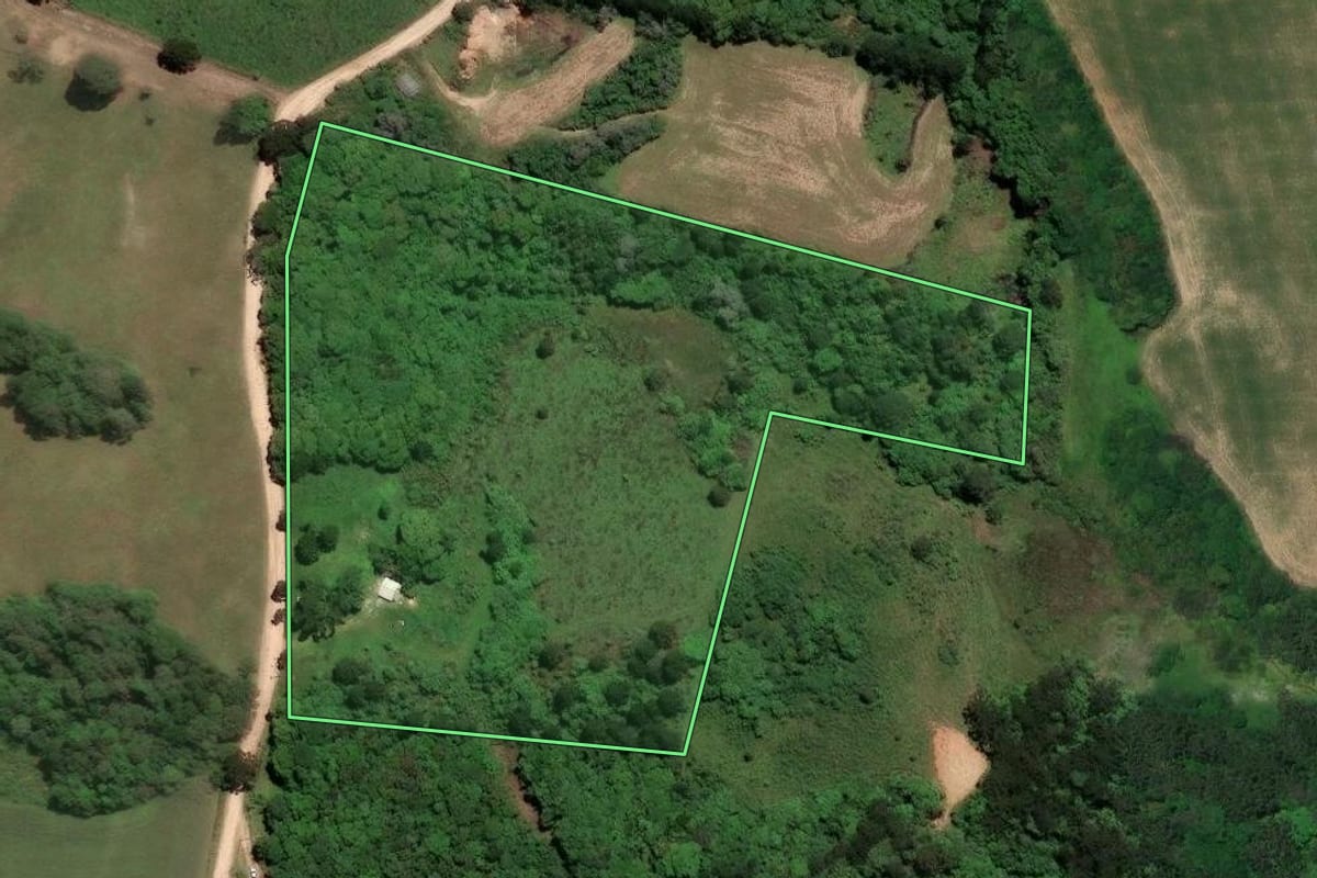 Imagem de satélite do imóvel rural em Castro (PR), com o contorno declarado no CAR desenhado por cima.