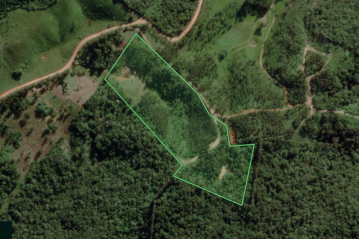 Imagem de satélite do imóvel rural em Castro (PR), com o contorno declarado no CAR desenhado por cima.