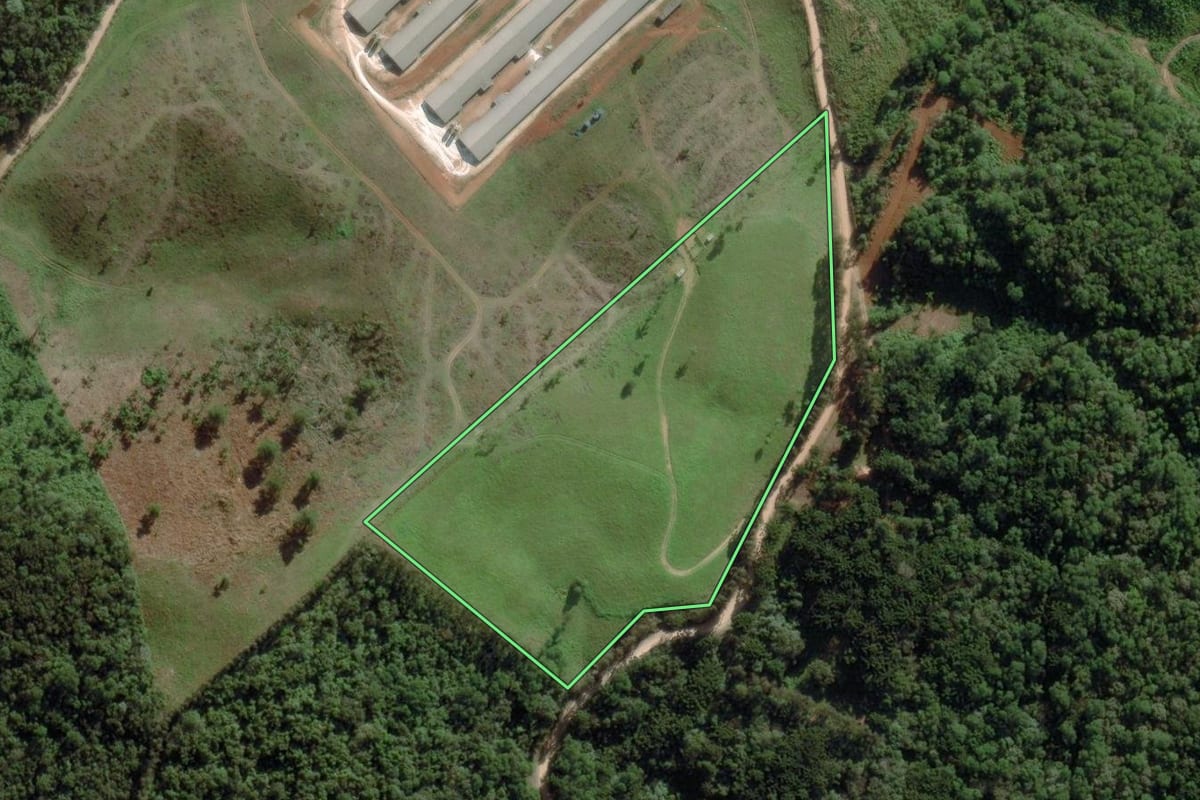 Imagem de satélite do imóvel rural em Castro (PR), com o contorno declarado no CAR desenhado por cima.