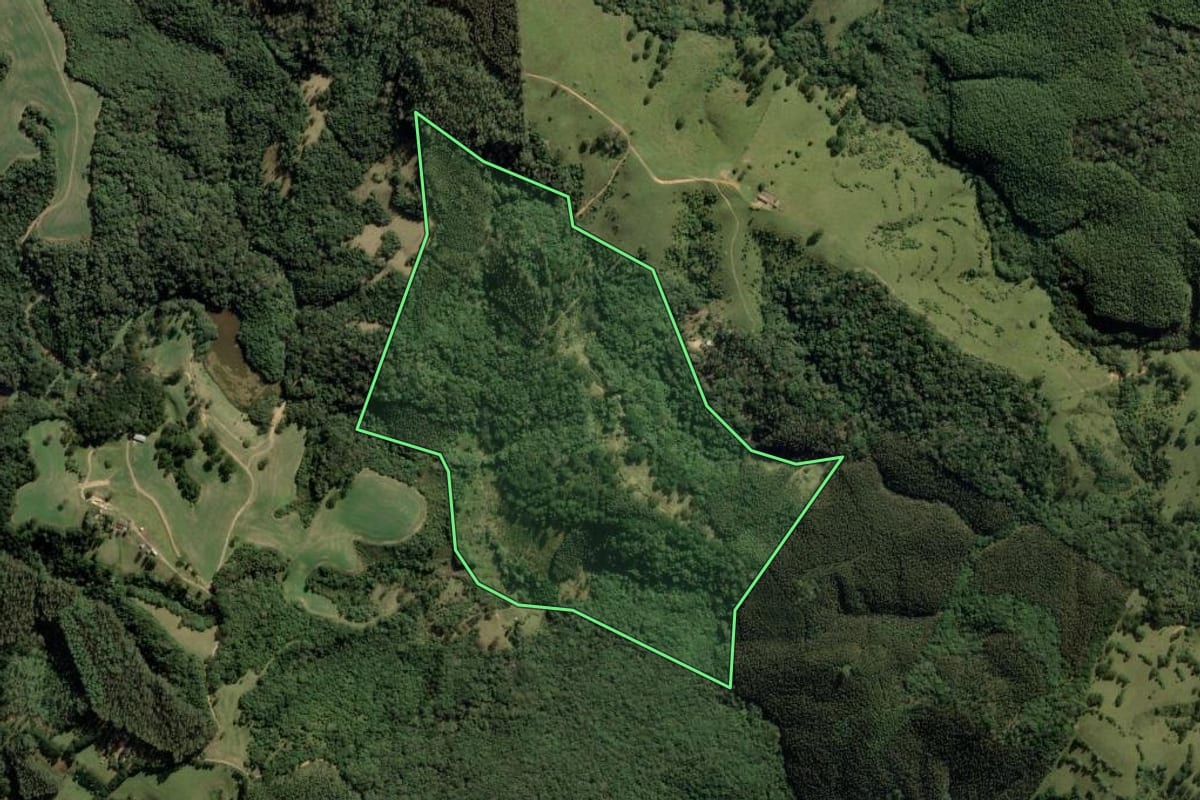 Imagem de satélite do imóvel rural em Castro (PR), com o contorno declarado no CAR desenhado por cima.
