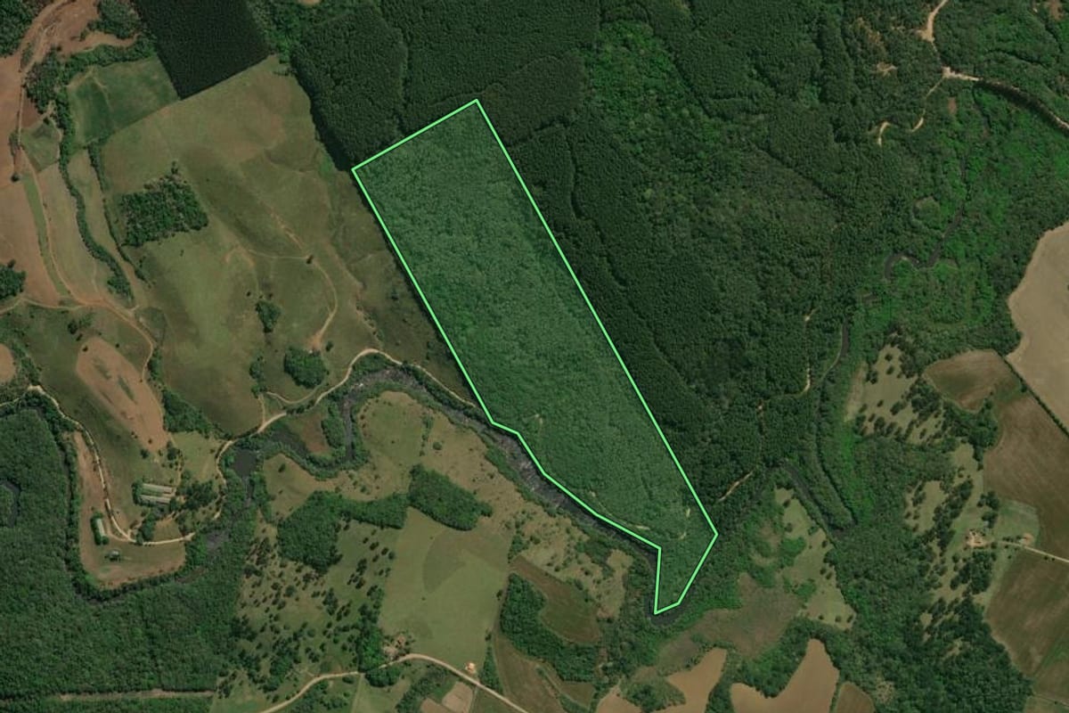 Imagem de satélite do imóvel rural em Castro (PR), com o contorno declarado no CAR desenhado por cima.