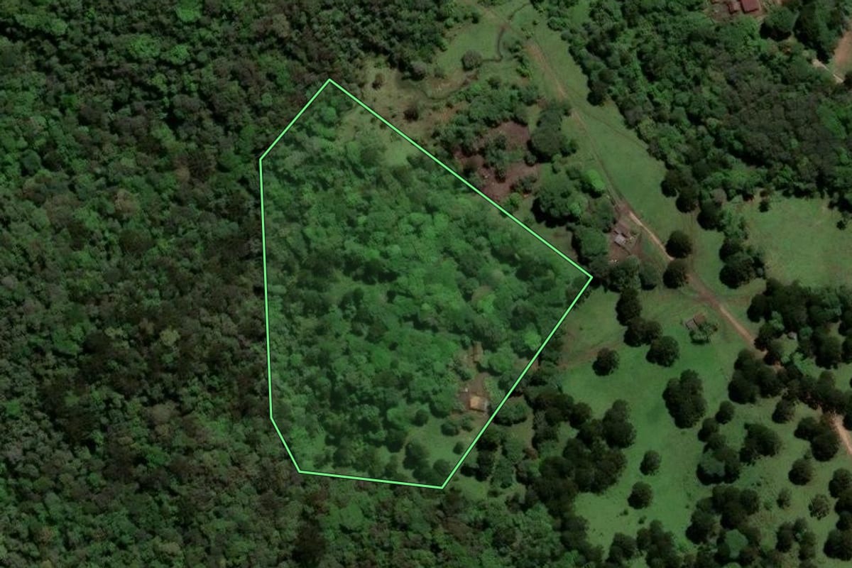 Imagem de satélite do imóvel rural em Castro (PR), com o contorno declarado no CAR desenhado por cima.