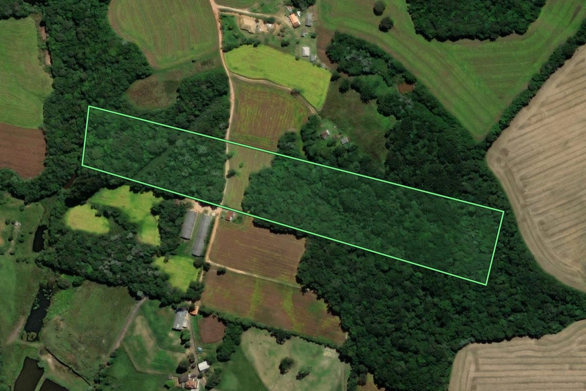 Imagem de satélite do imóvel rural em Castro (PR), com o contorno declarado no CAR desenhado por cima.