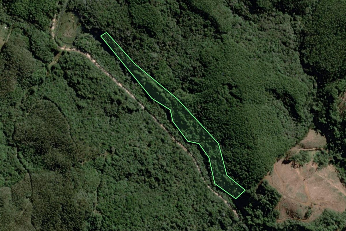 Imagem de satélite do imóvel rural em Castro (PR), com o contorno declarado no CAR desenhado por cima.