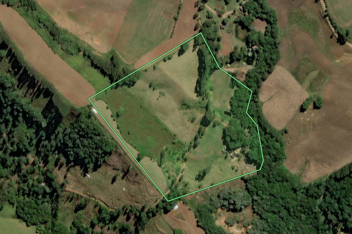 Imagem de satélite do imóvel rural em Castro (PR), com o contorno declarado no CAR desenhado por cima.