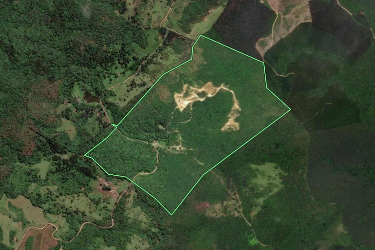 Imagem de satélite do imóvel rural em Castro (PR), com o contorno declarado no CAR desenhado por cima.