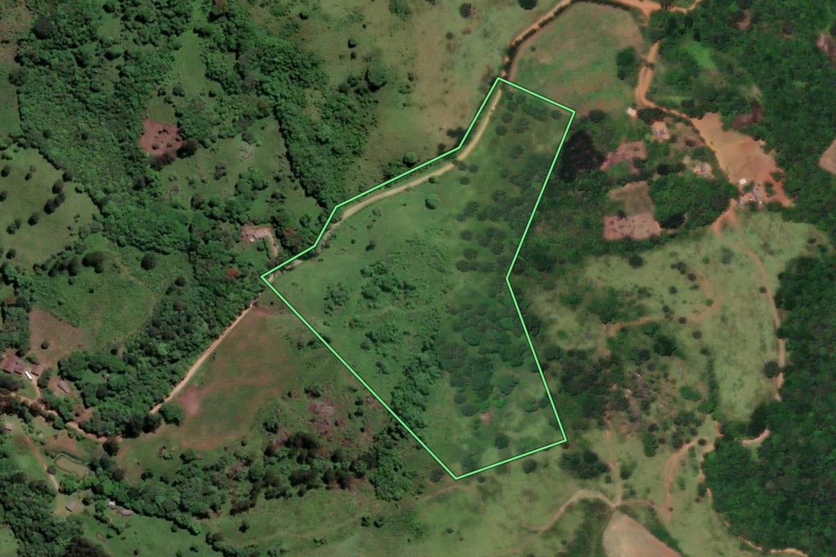 Imagem de satélite do imóvel rural em Castro (PR), com o contorno declarado no CAR desenhado por cima.