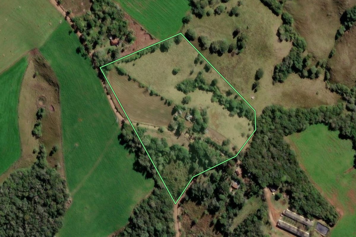 Imagem de satélite do imóvel rural em Castro (PR), com o contorno declarado no CAR desenhado por cima.