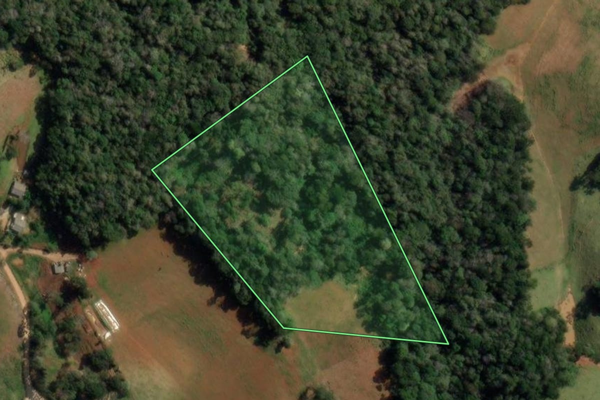 Imagem de satélite do imóvel rural em Castro (PR), com o contorno declarado no CAR desenhado por cima.