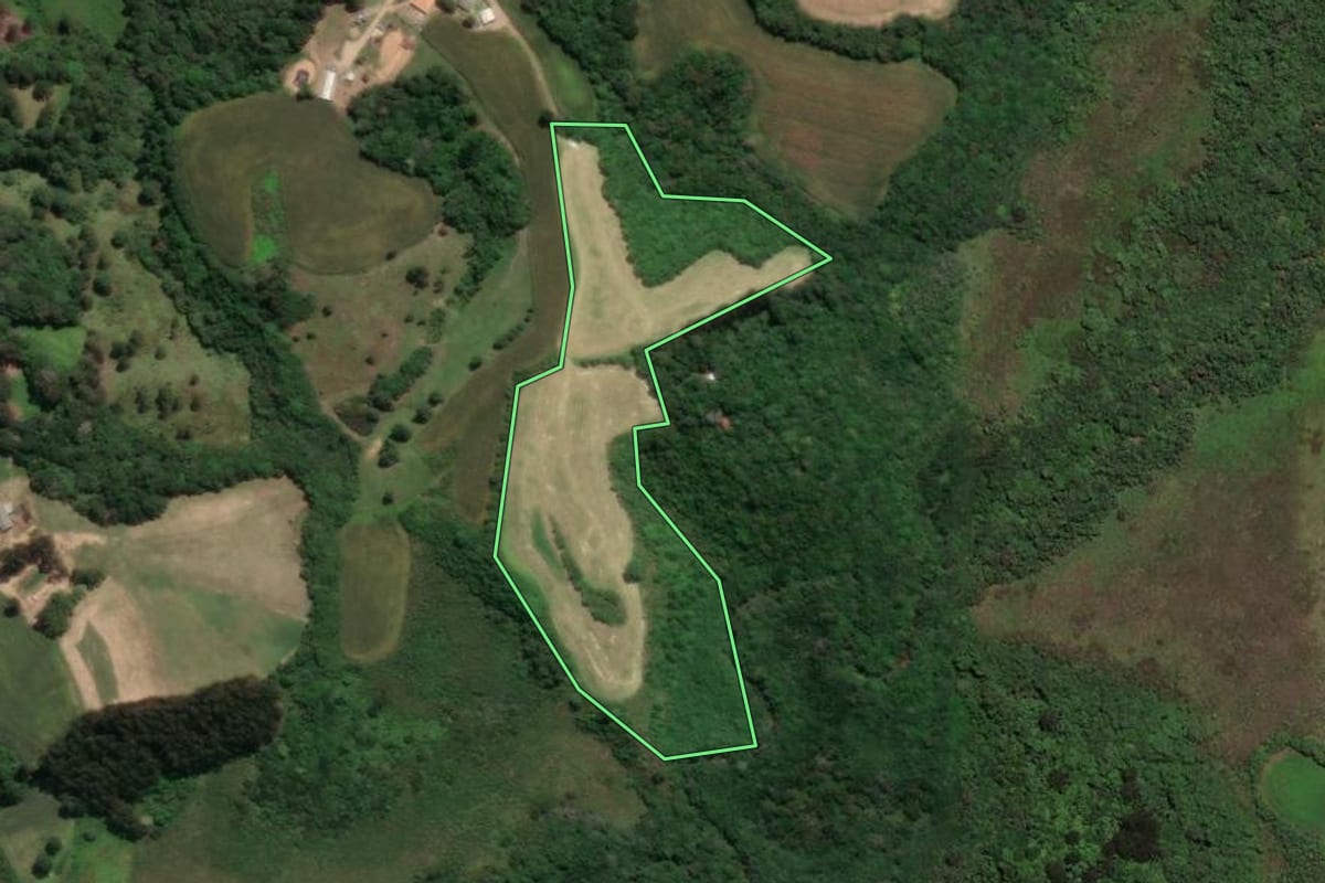 Imagem de satélite do imóvel rural em Castro (PR), com o contorno declarado no CAR desenhado por cima.