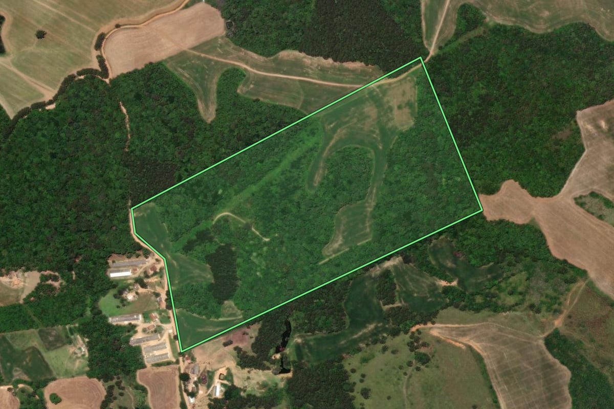 Imagem de satélite do imóvel rural em Castro (PR), com o contorno declarado no CAR desenhado por cima.