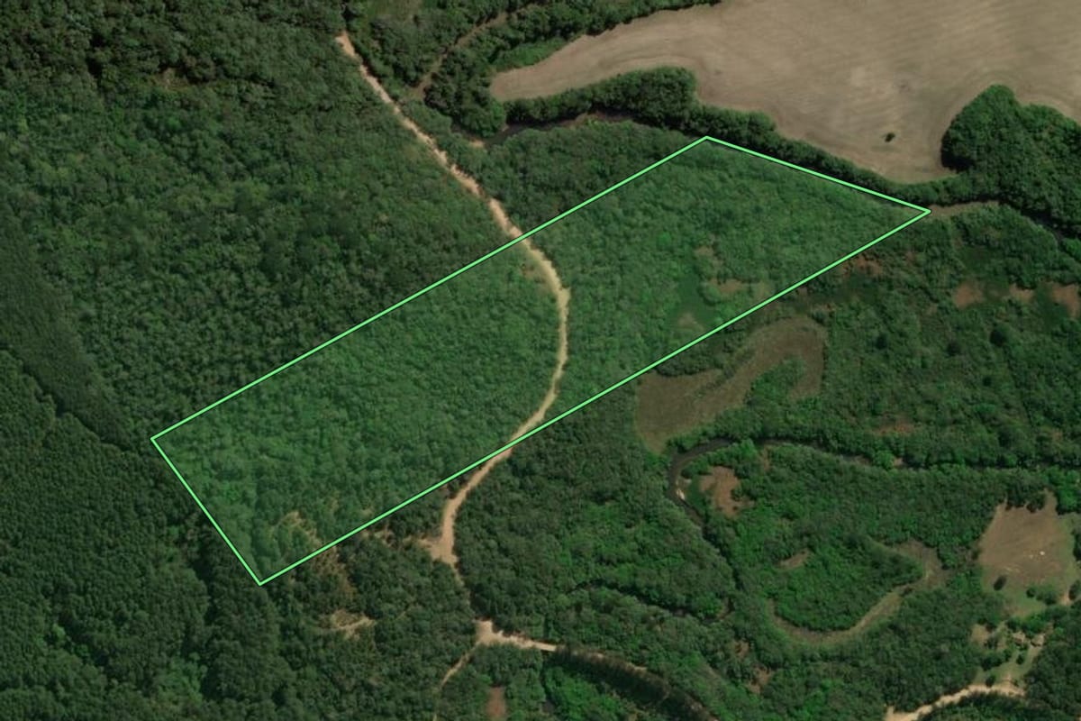 Imagem de satélite do imóvel rural em Castro (PR), com o contorno declarado no CAR desenhado por cima.