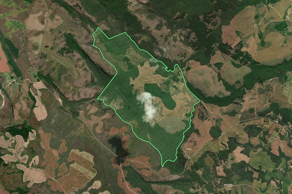Imagem de satélite do imóvel rural em Castro (PR), com o contorno declarado no CAR desenhado por cima.
